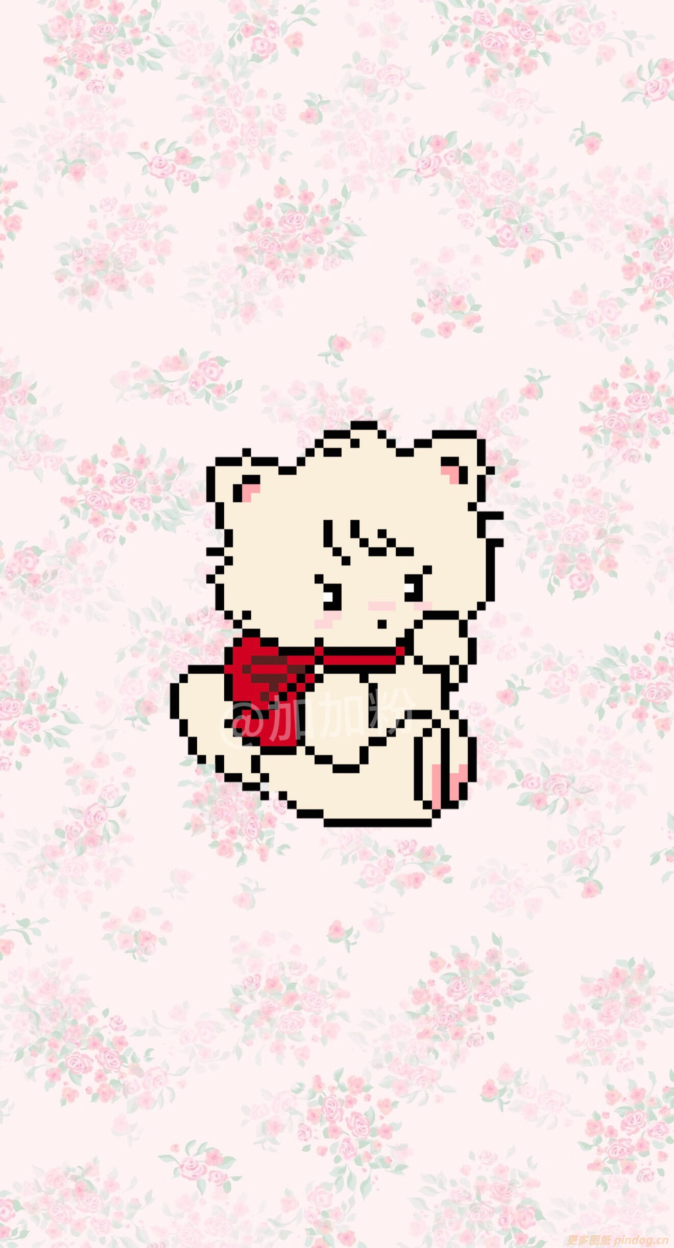 mousse猫